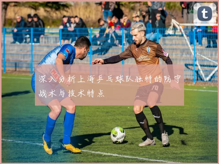 深入分析上海乒乓球队独特的防守战术与技术特点