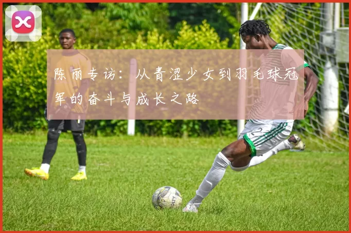 陈丽专访：从青涩少女到羽毛球冠军的奋斗与成长之路