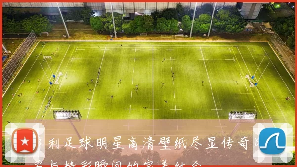 亨利足球明星高清壁纸尽显传奇风采与精彩瞬间的完美结合