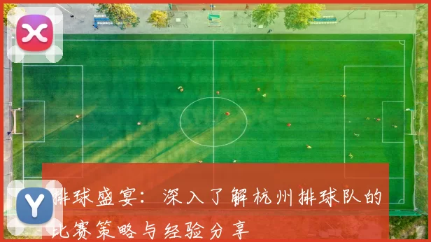 排球盛宴：深入了解杭州排球队的比赛策略与经验分享