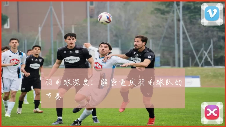 羽毛球深度：解密重庆羽毛球队的节奏