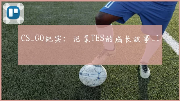 CS_GO纪实：记录TES的成长故事_1